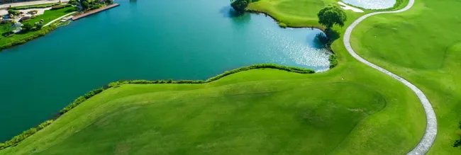 Time Release Fertilizers