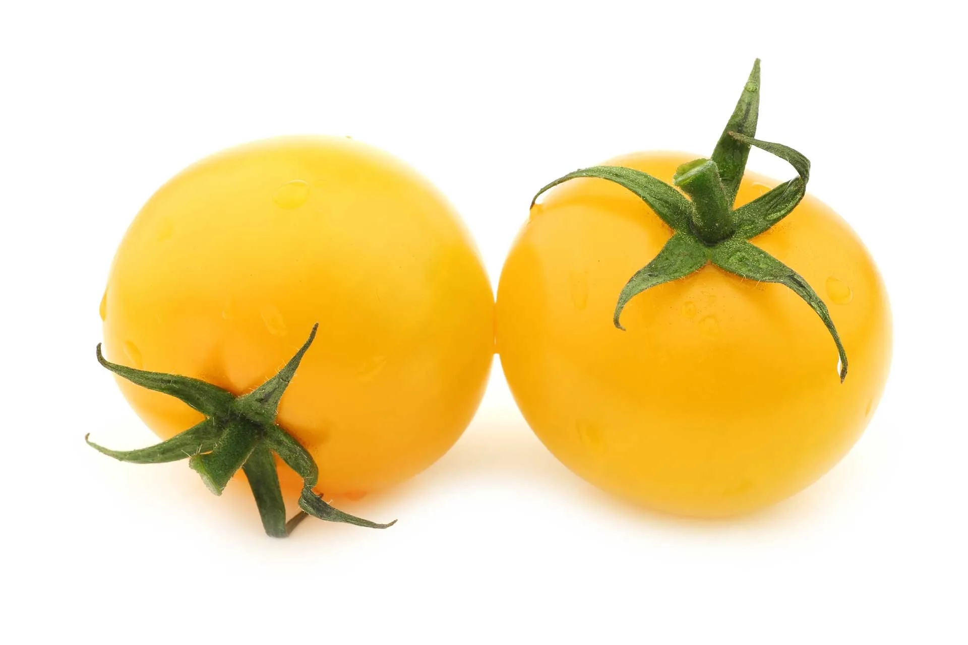 Ripe tomatoes on the vine
