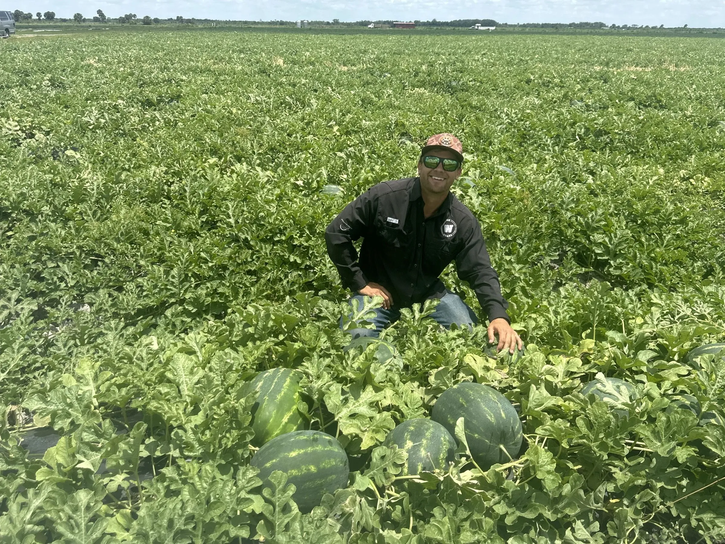 A Wedgworth’s team member in a Big W shirt kneeling in a watermelon field